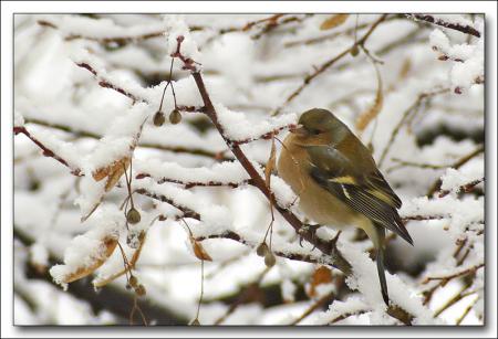 Prenez votre envol ....